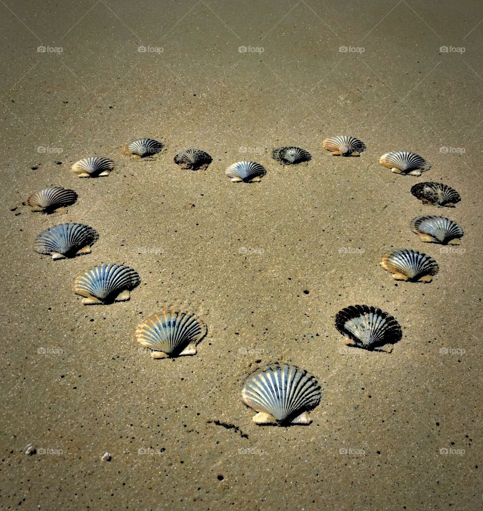 I ❤️ Shells