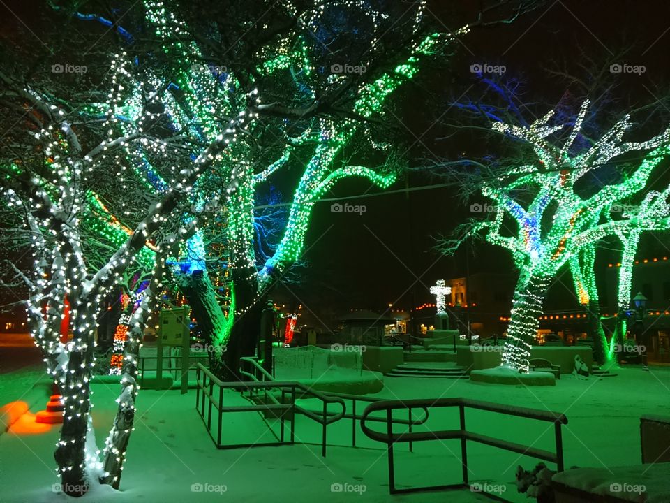 Illuminated trees with colorful lights on branches in snowy Plaza