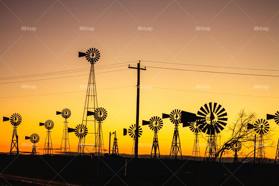 Windmills in a sunset