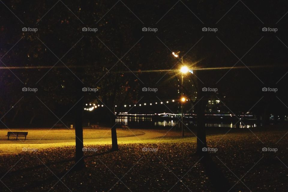 Park at night