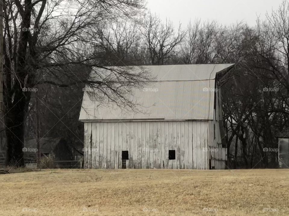 White barn