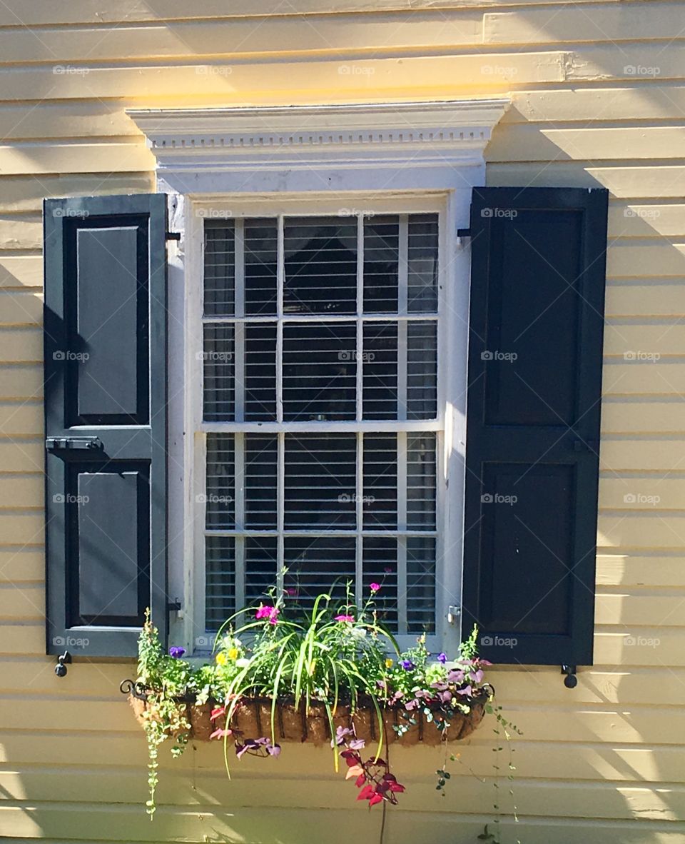 Charleston window box