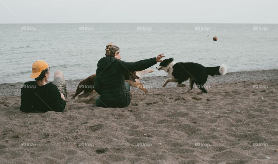 Two People Sit On A Beach Throwing A Ball For Two Dogs