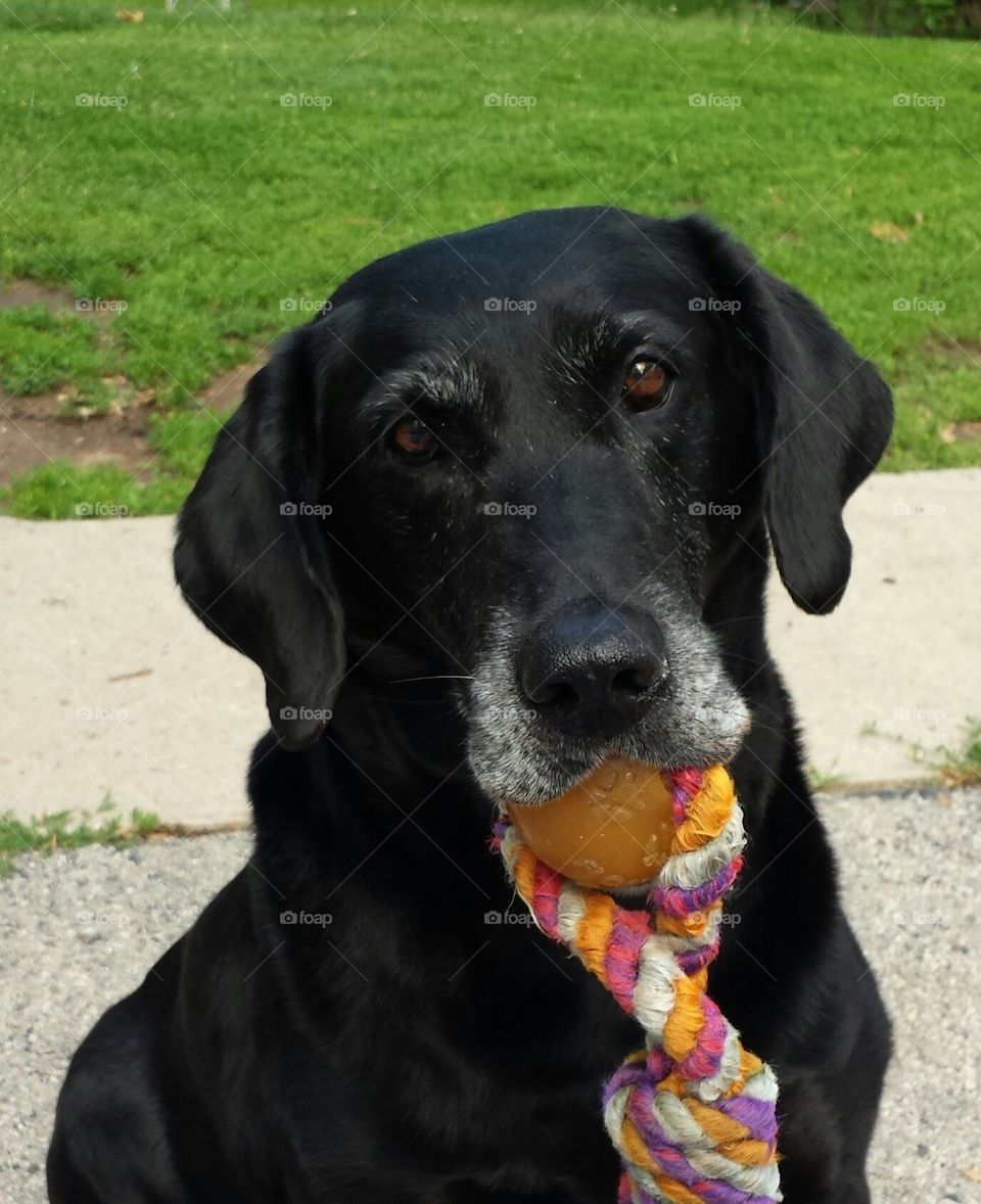 Murphy wants to play