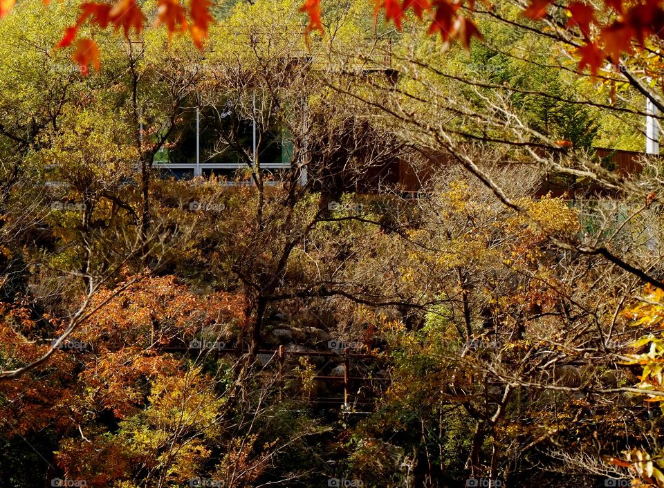 Contemporary architechture in Mt Jiri (Jirisan)