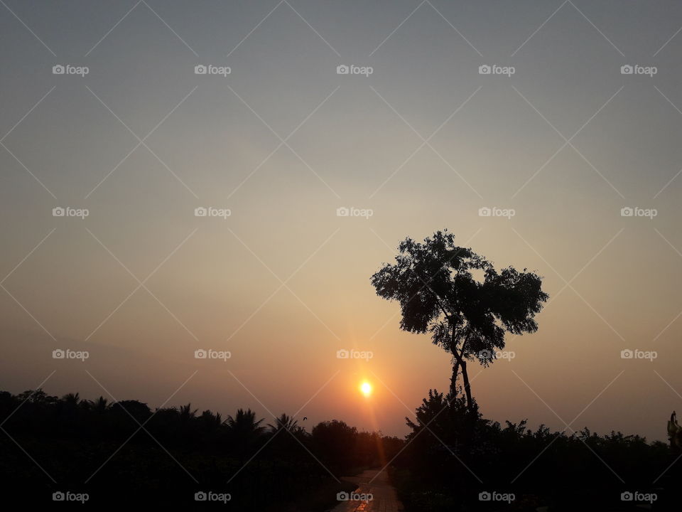 sunset background image