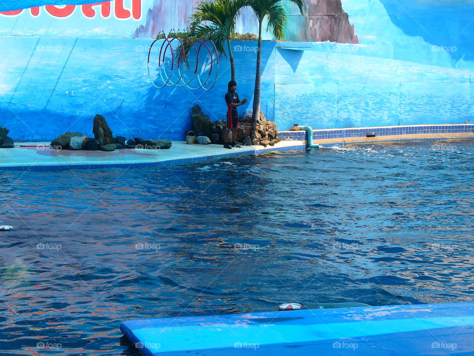 Water, Swimming, Summer, Travel, Turquoise