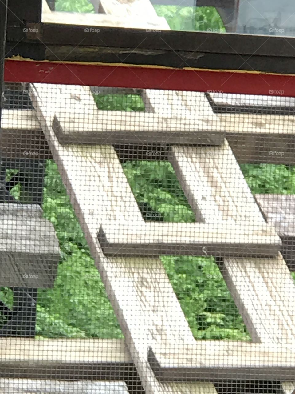 Window, Glass Items, No Person, Architecture, Business