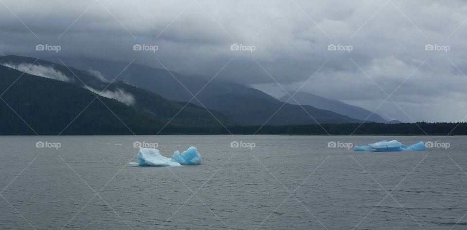 Blue Icebergs. What a beautiful scene from our ship.