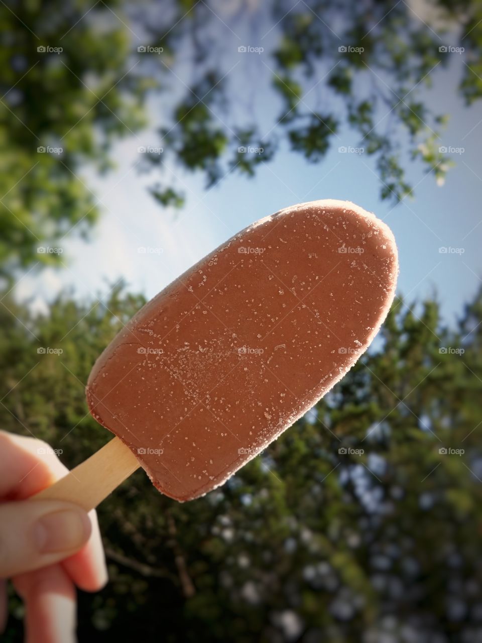 A hand holding a fudge ice cream bar  in summer with green trees and blue sky with ice crystals