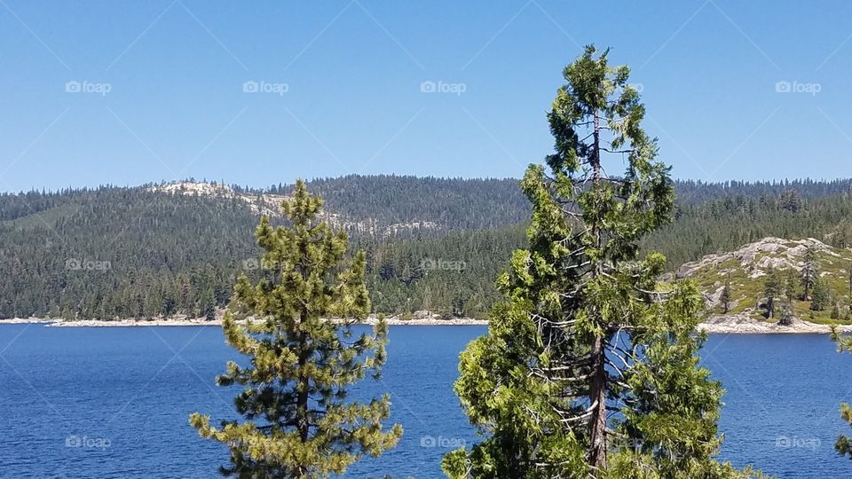 two evergreen trees in the foreground with a lake, hills and more trees in the background.