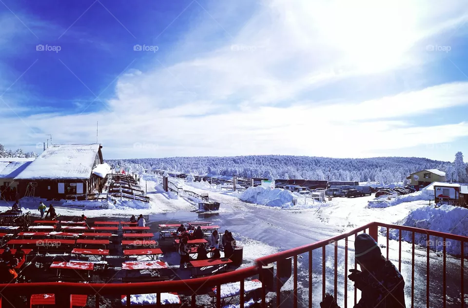winterland