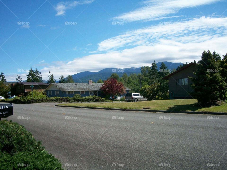 Road, Tree, Landscape, No Person, Guidance
