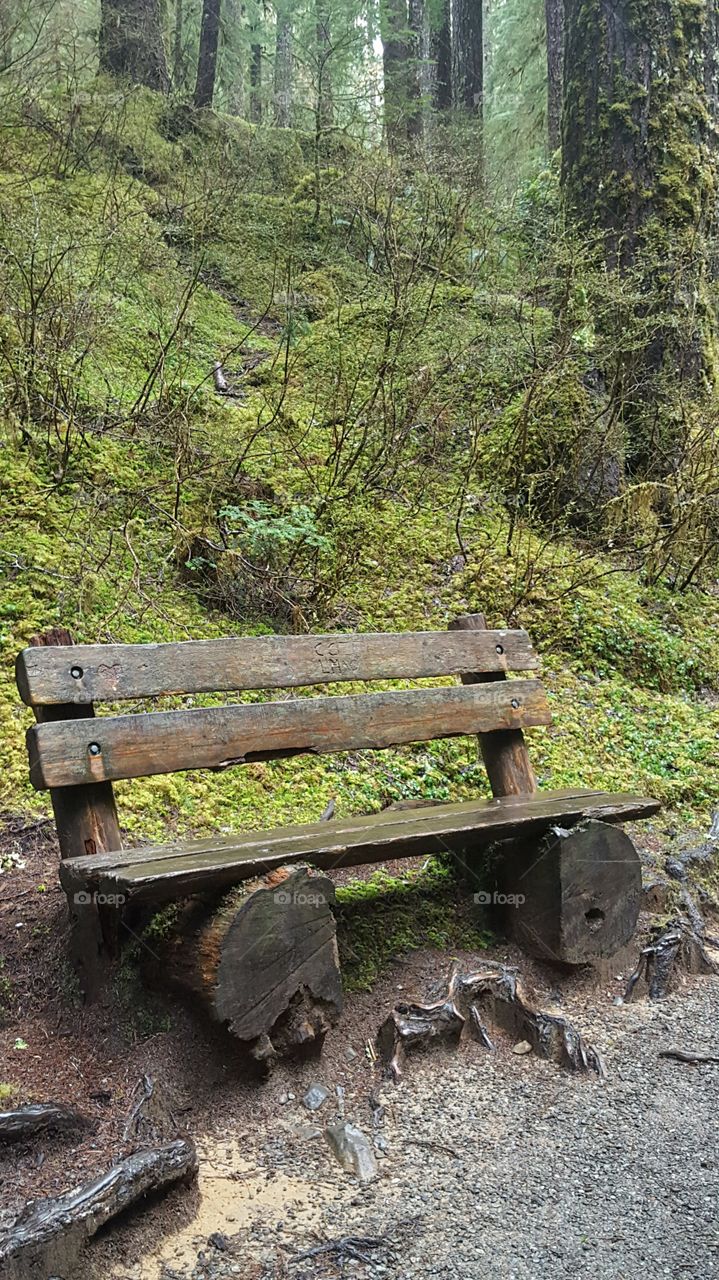 Natural bench