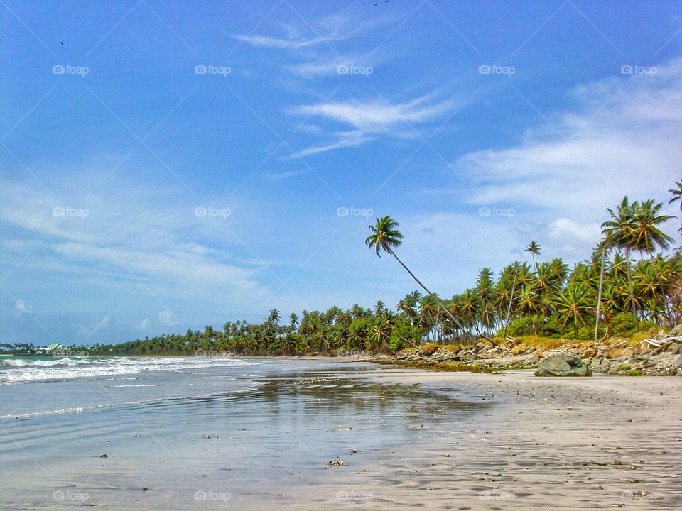 Beach Tobago