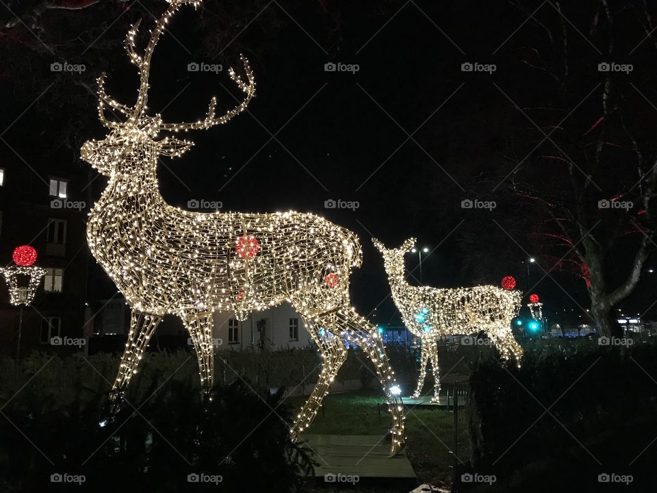Deer lights christmas