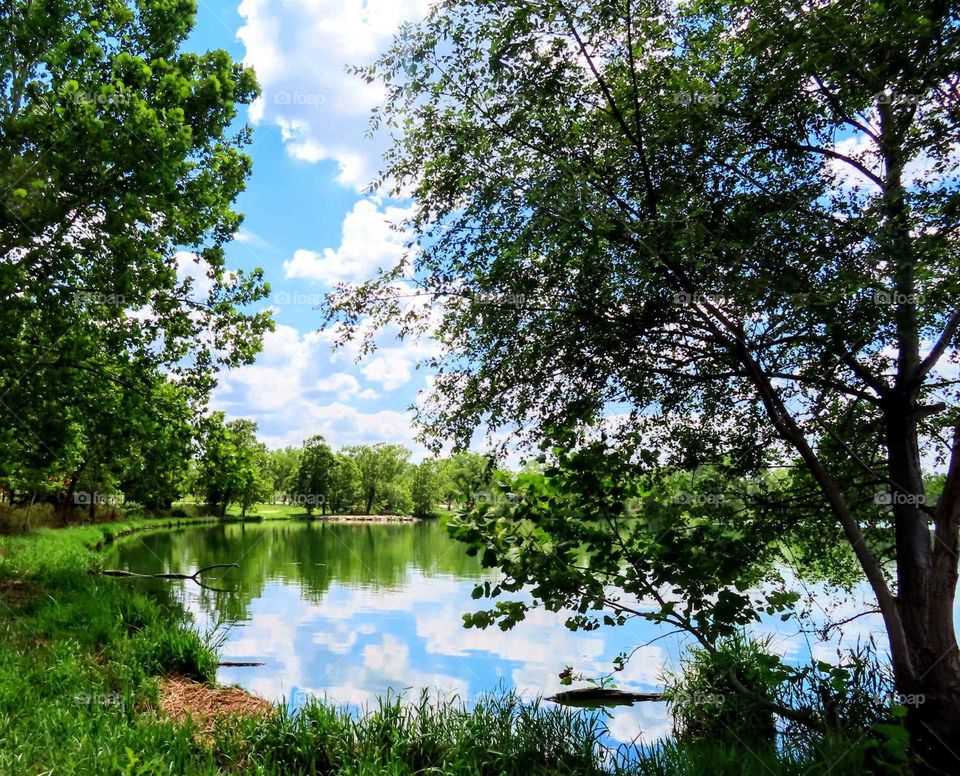 Gorgeous Reflected Clouds On the Water Through the Trees "Take a Moment"