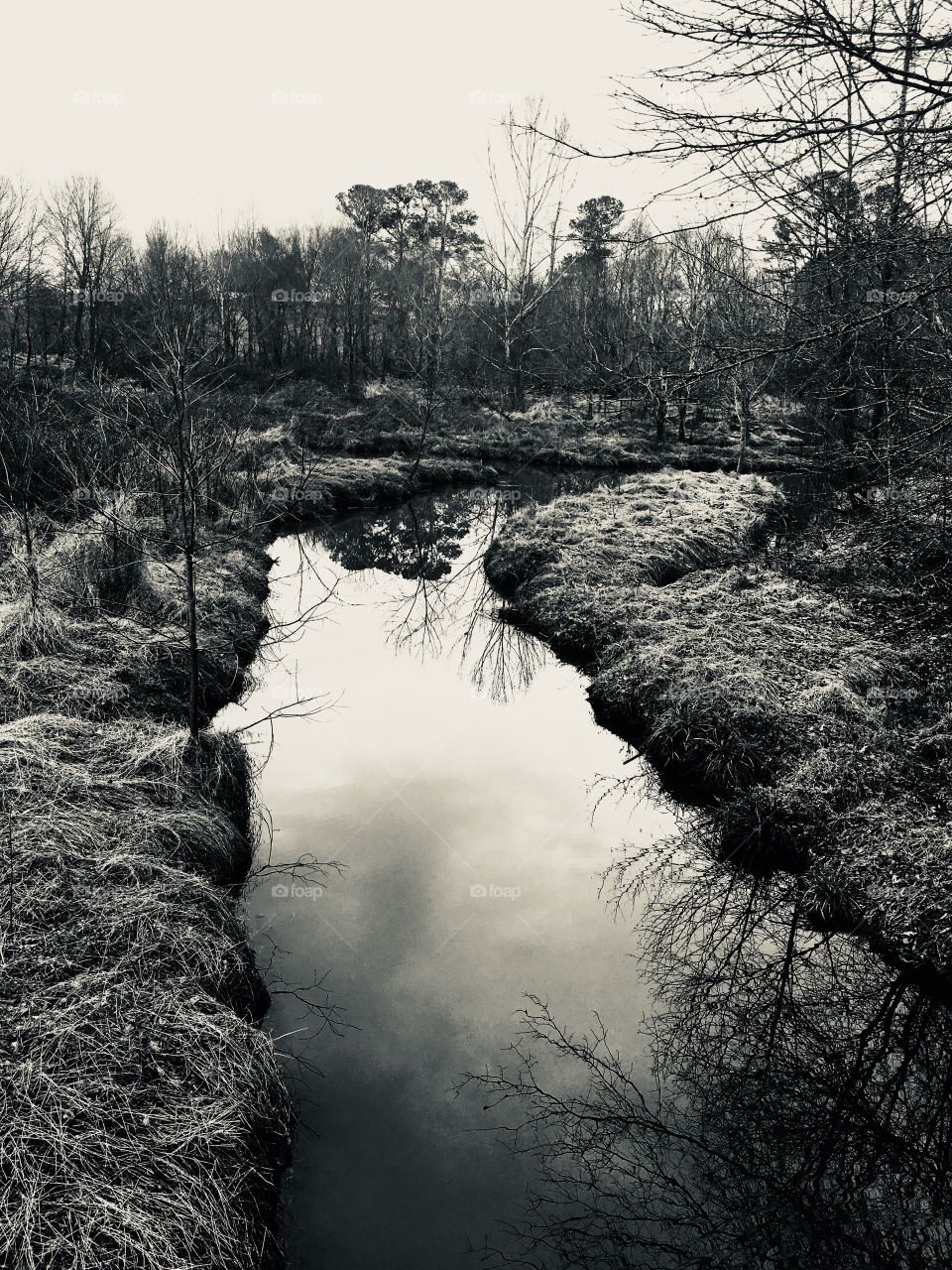 Bright reflection of the sky on a placid stream meandering through winter’s grassy landscape in the bog