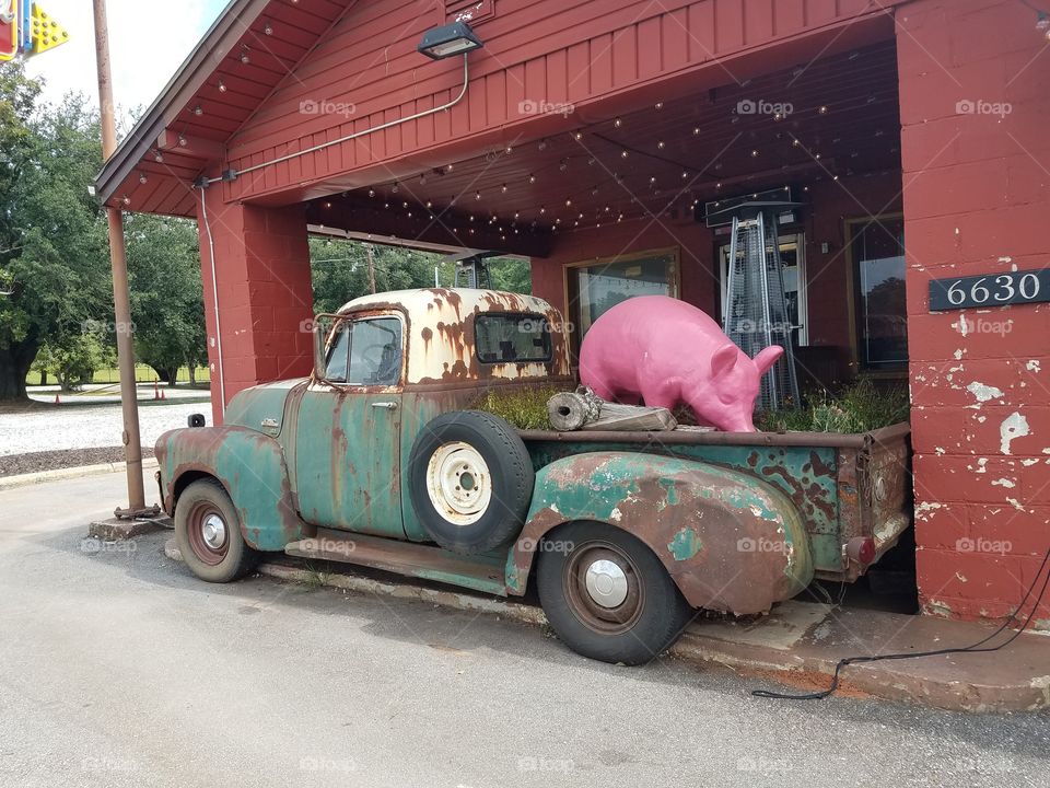 Pig in a truck