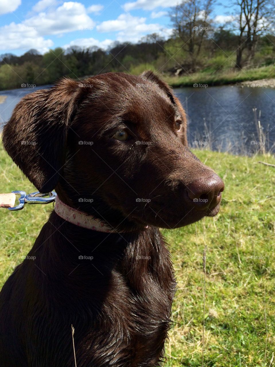 Randomly went down to the river and bumped into my brother-in-law and Jess. She was a little wet from splashing in the river but she was scared of the water. 