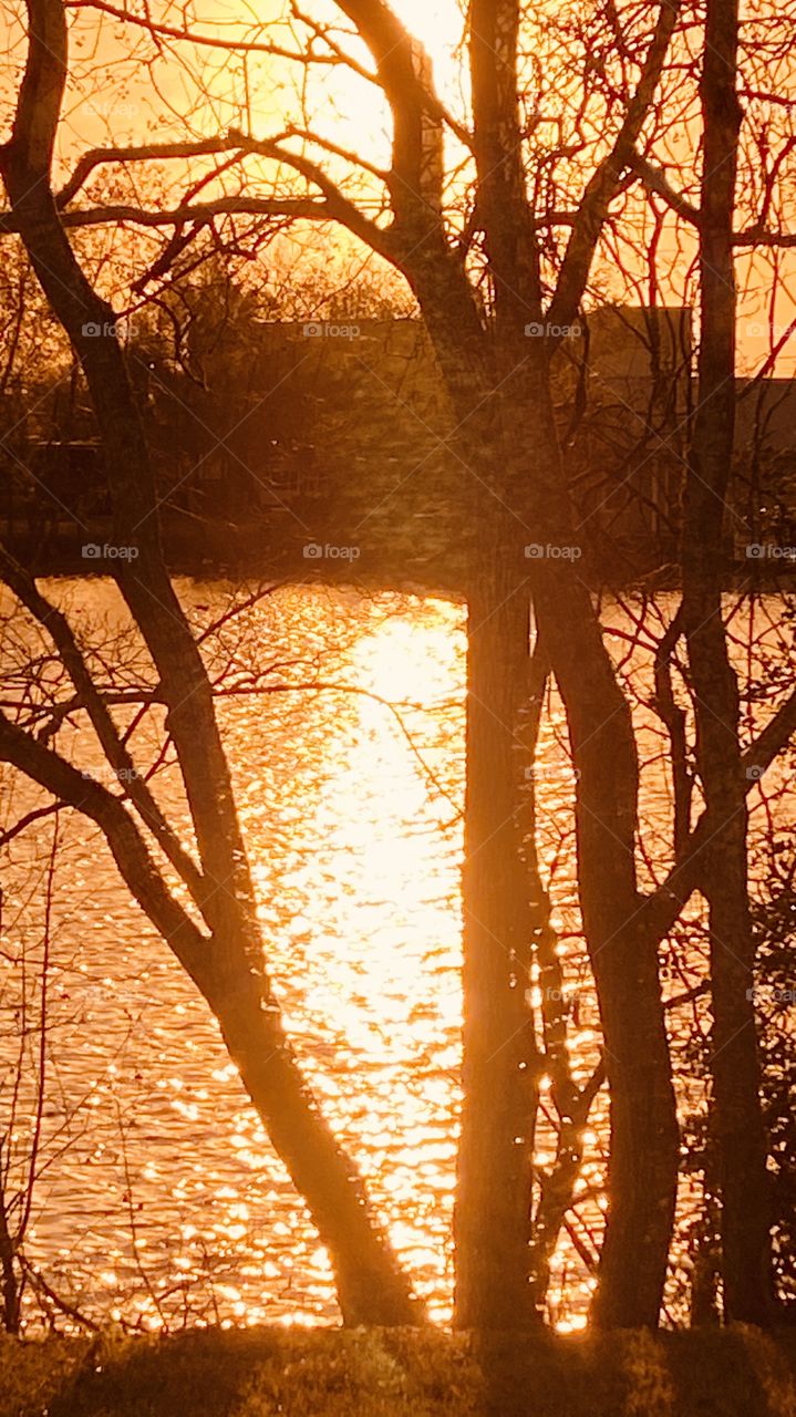 Evening Sun Setting Over Lake Waters. Reflections of Sun Rays on Lake evening colors captivate the scenery. 