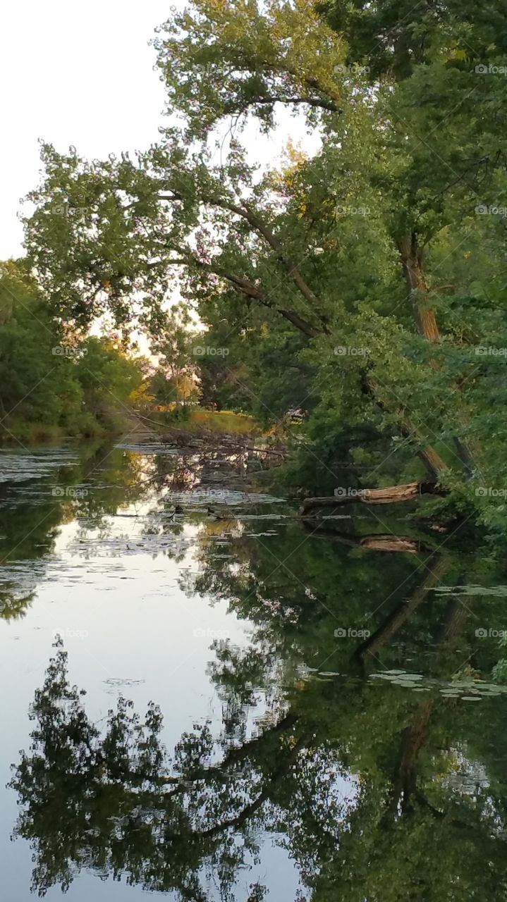 reflection on the water