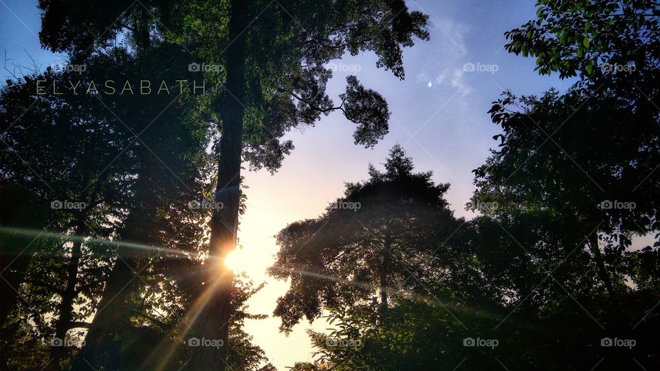 sunset at eco rimba park