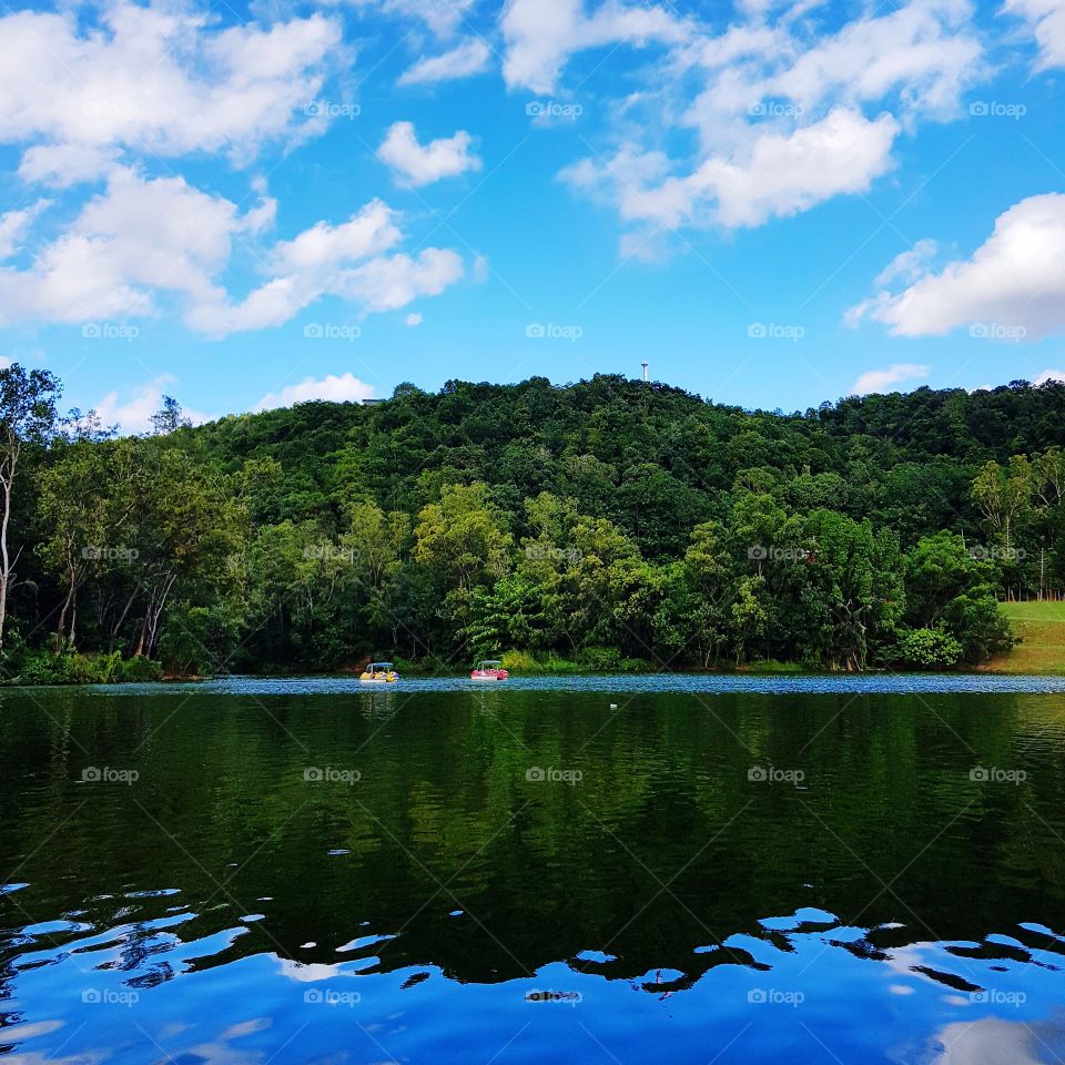 Scenic view of park against sky