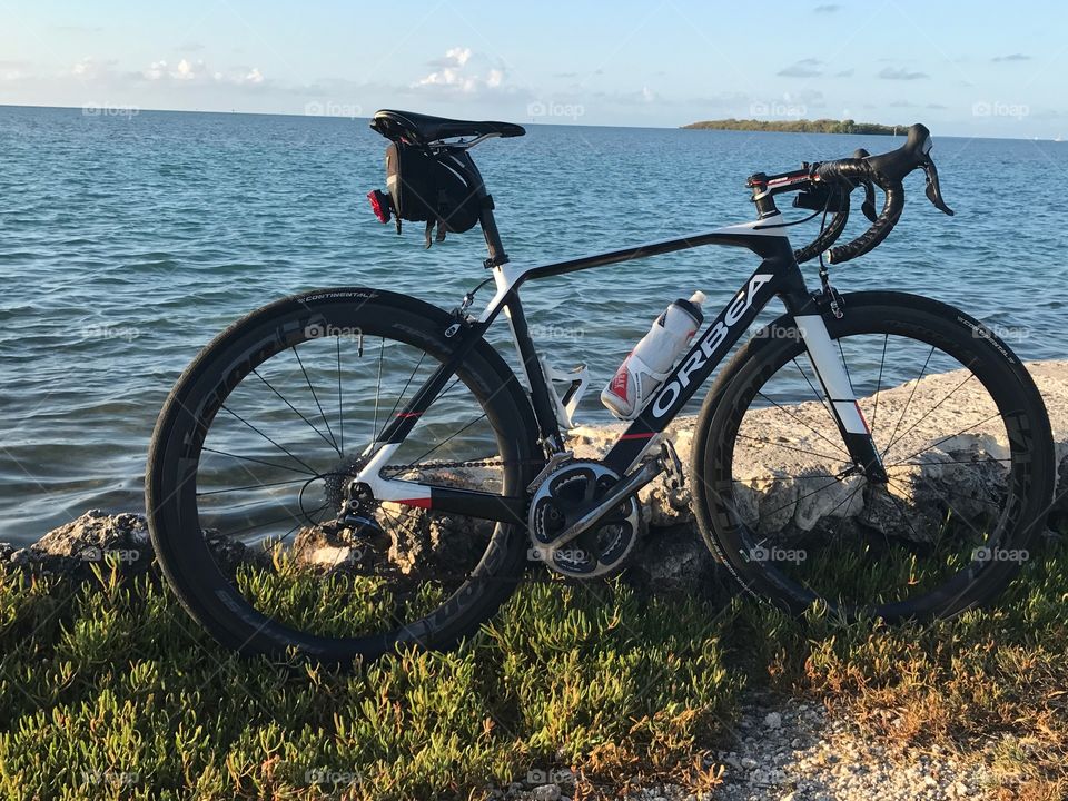 Orbea by the sea