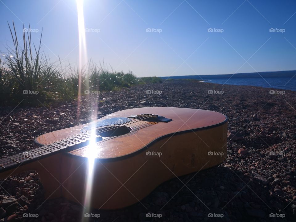 Guitar