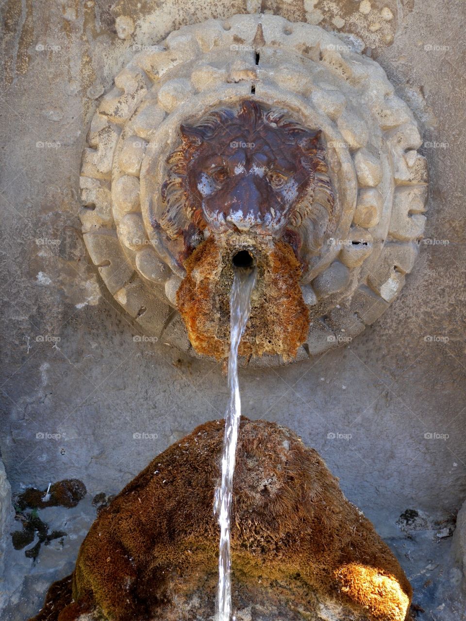 Löwen-Brunnen
lions fountain