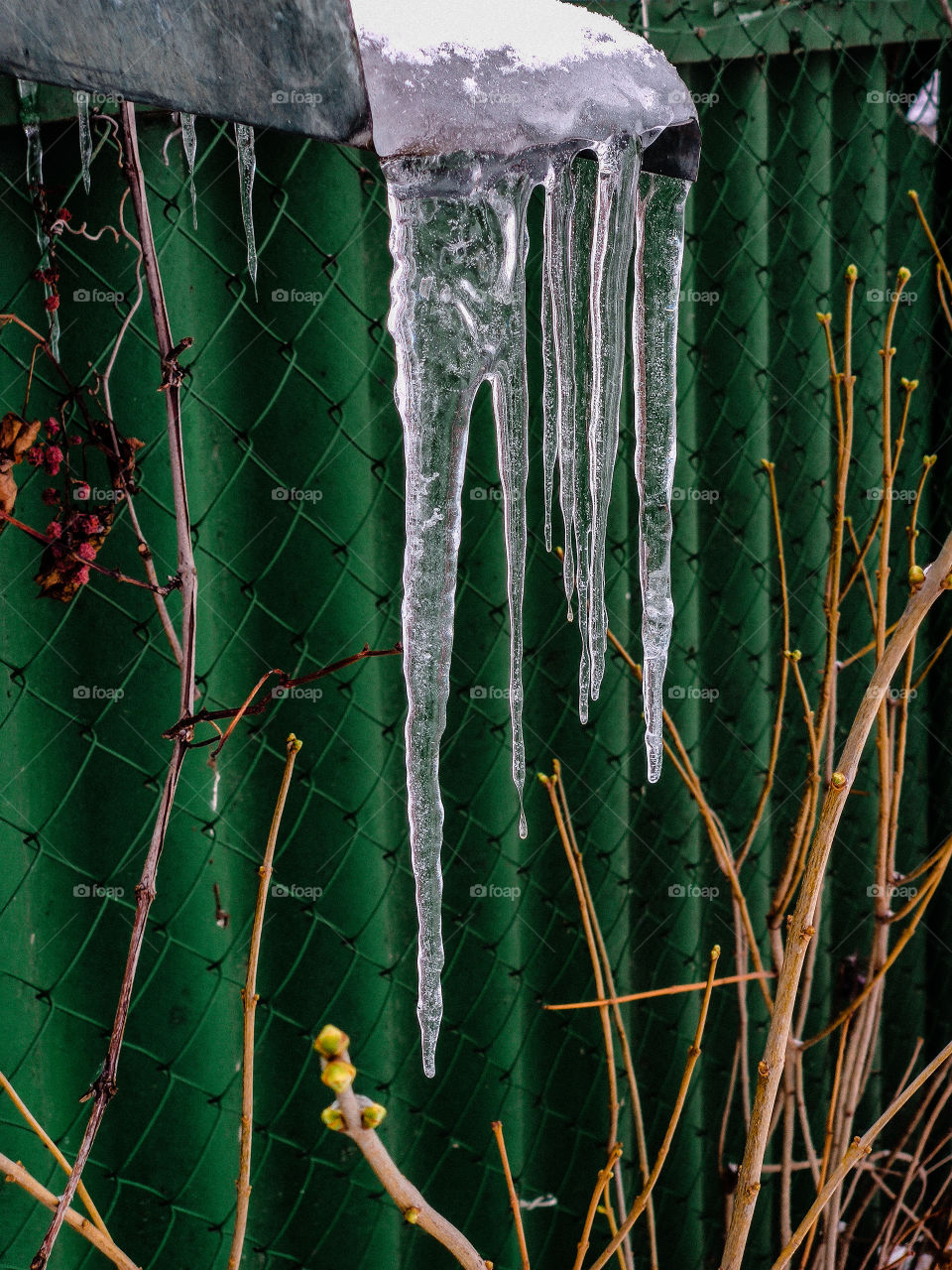 icicles on roof