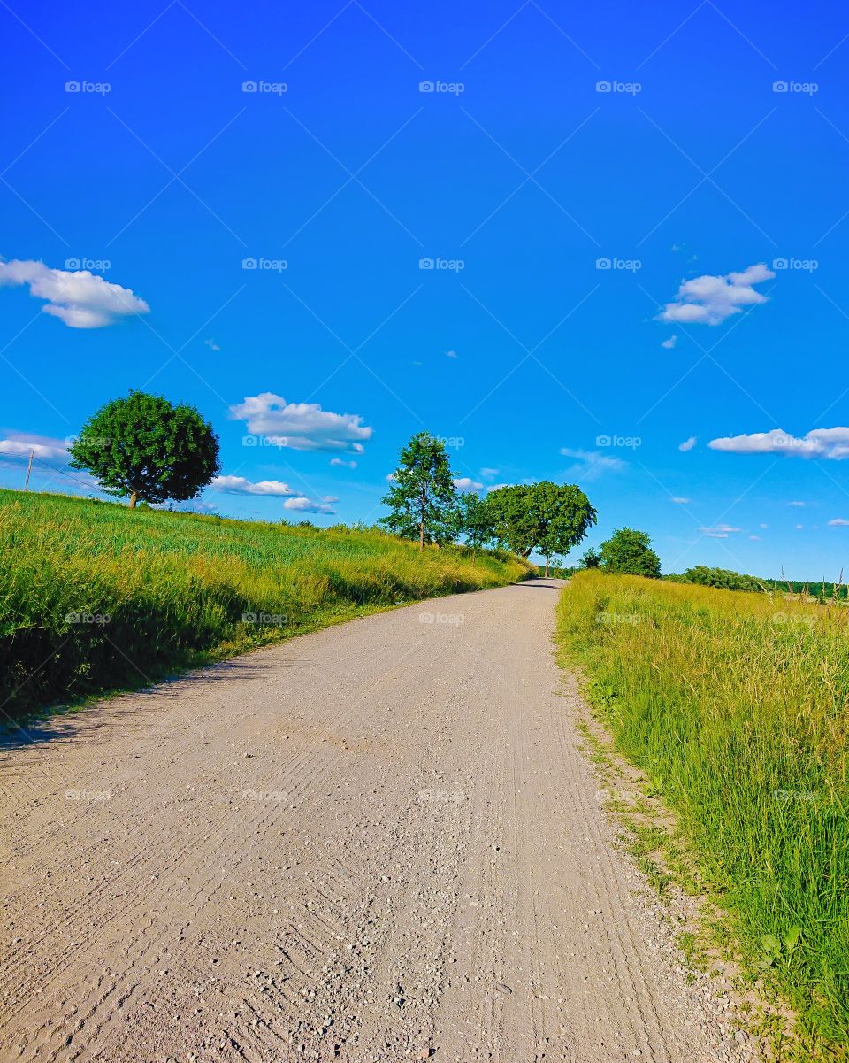 Beautiful road