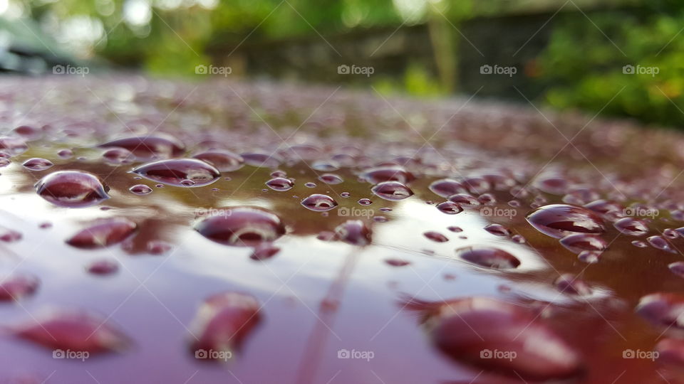 The car hood with a hundred drops of dew