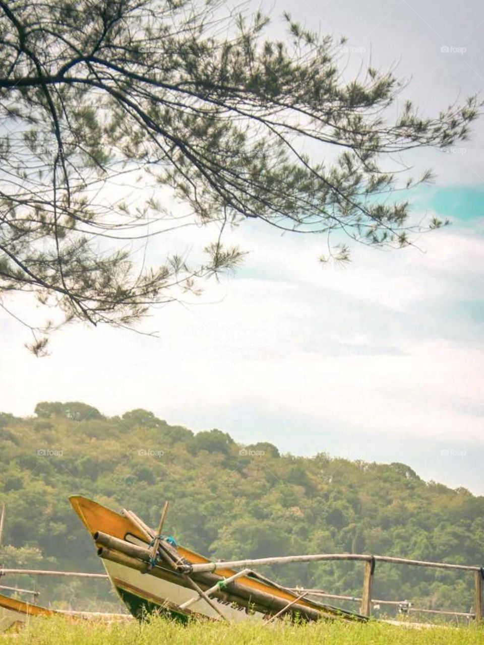 Long distance view of a stranded boat on a green meadow with a backdrop of trees and a clear blue sky