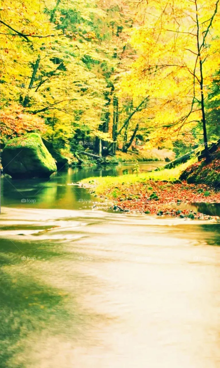 greenary