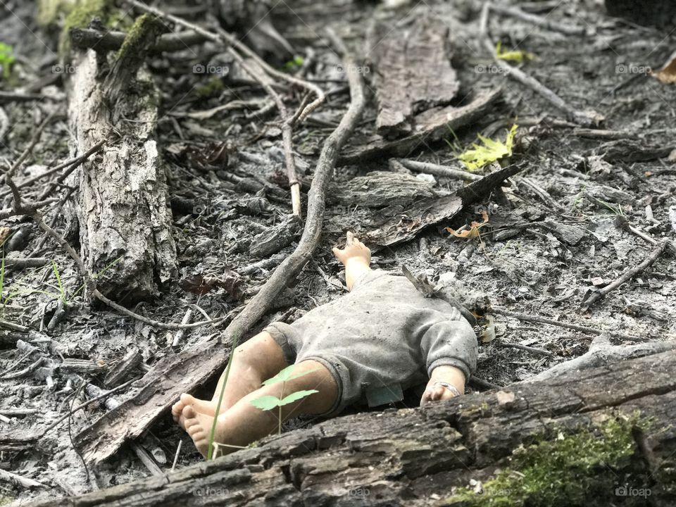 Doll in the woods