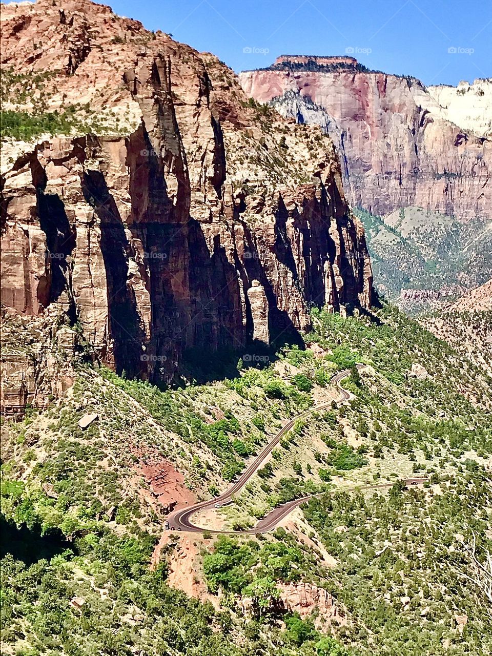 Landscape with Winding Road