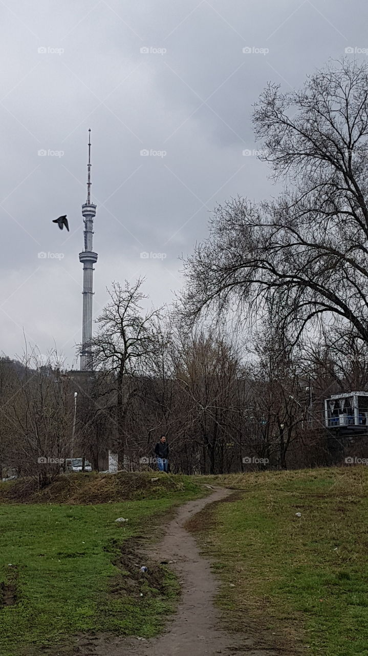 television tower with bird man and pass