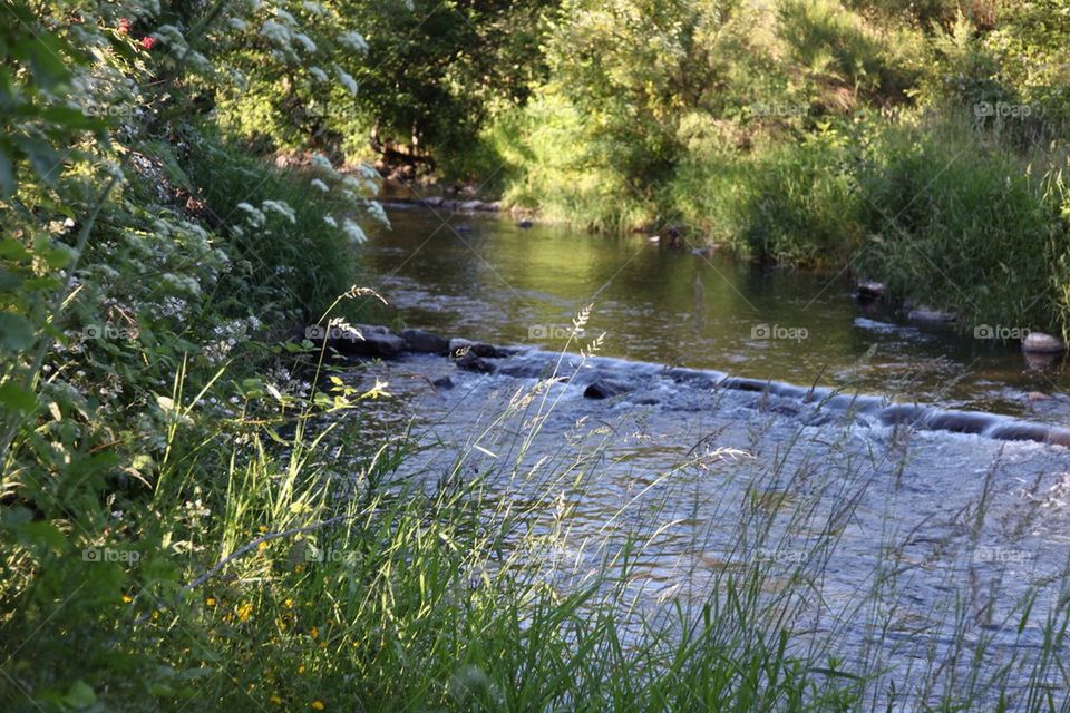 Tranquil creek