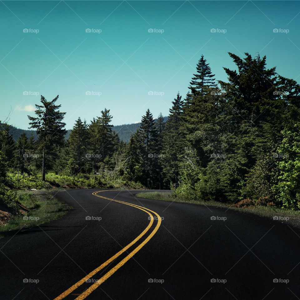 Empty road along with trees