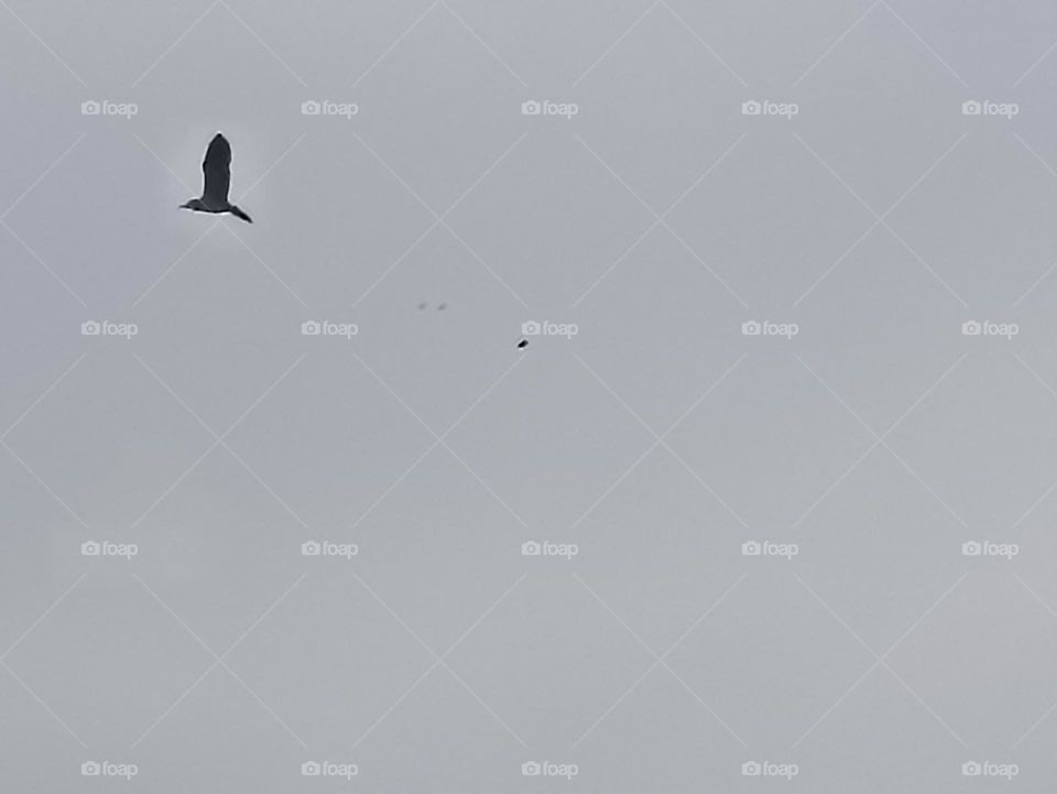 one full of strength