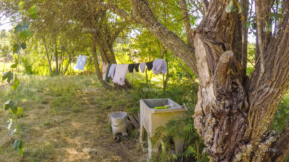 Old sink for hand washing clothes and hanging them between on trees in a rural farm in Central Portugal