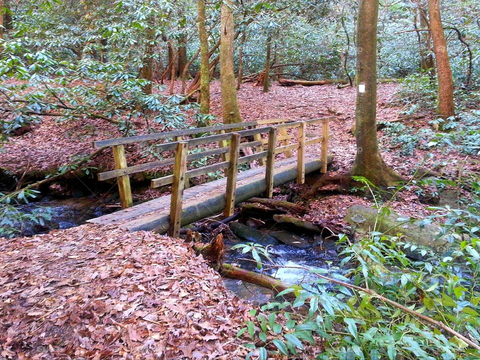 bridge over creek on the King creek trail, South Carolina