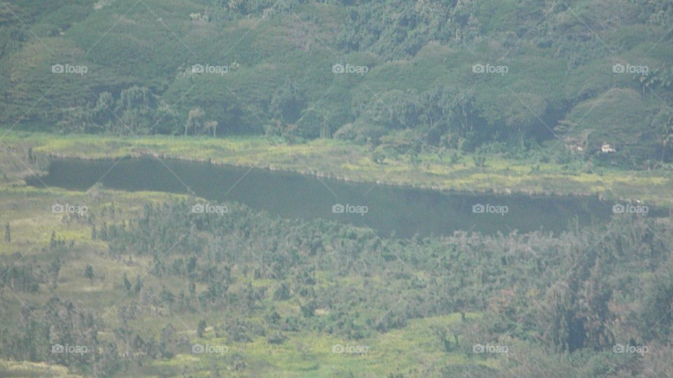 Waipio valley floor.