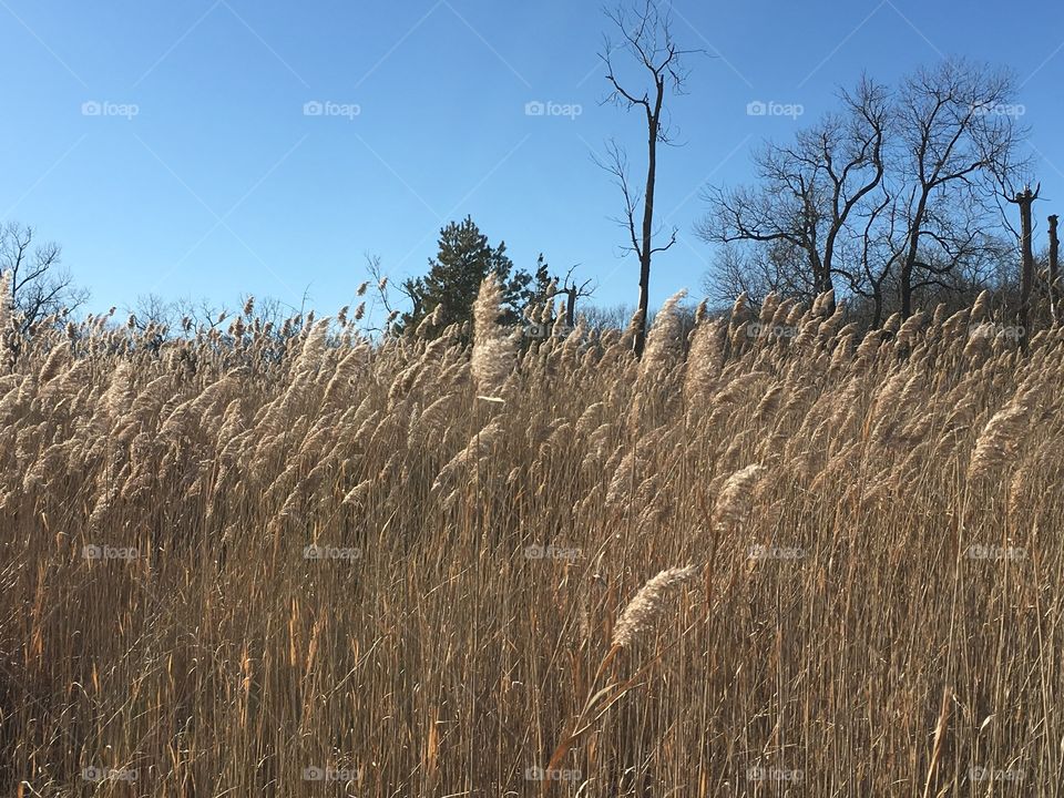 No Person, Nature, Landscape, Rural, Outdoors