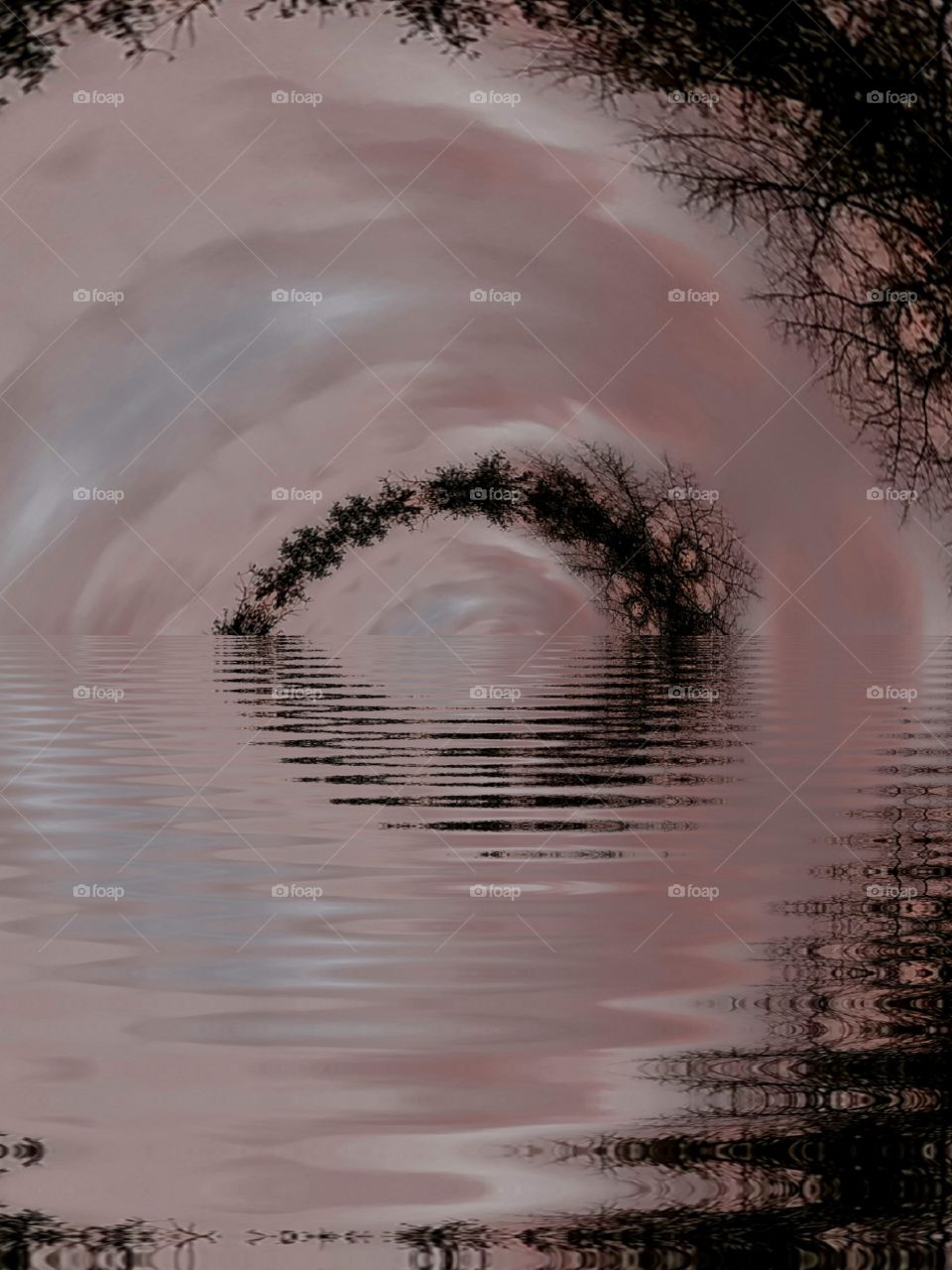 pink clouds framed by silhouette of trees in a cyclone eye