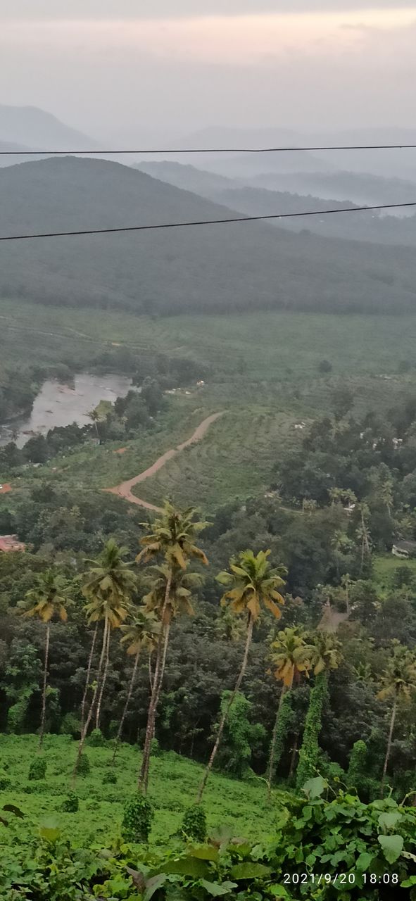 land view