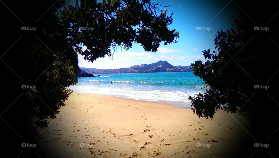 Paradise New Zealand. sunny day in new zealand