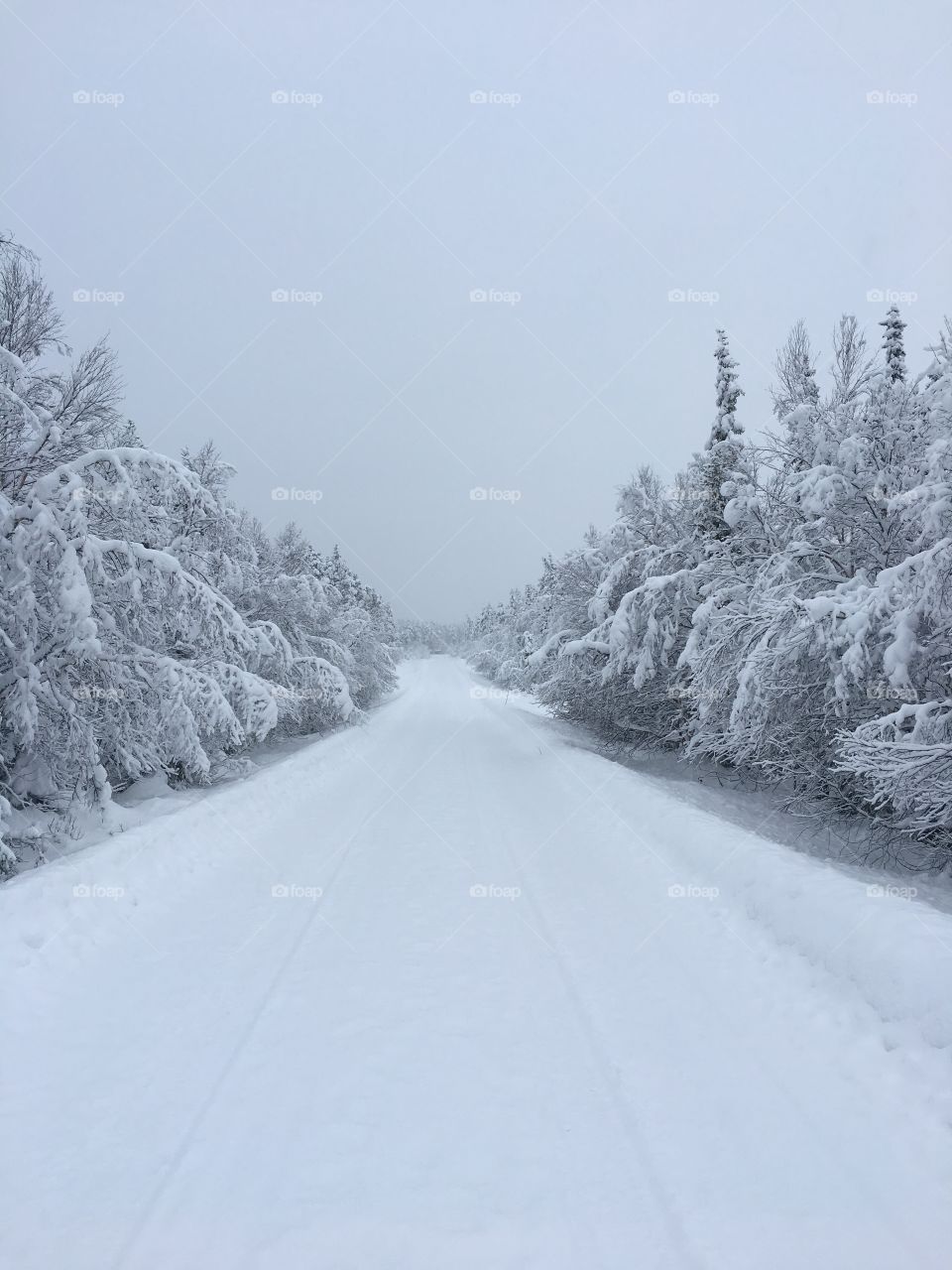 Snowy road.